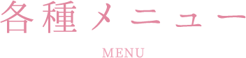 各種メニュー